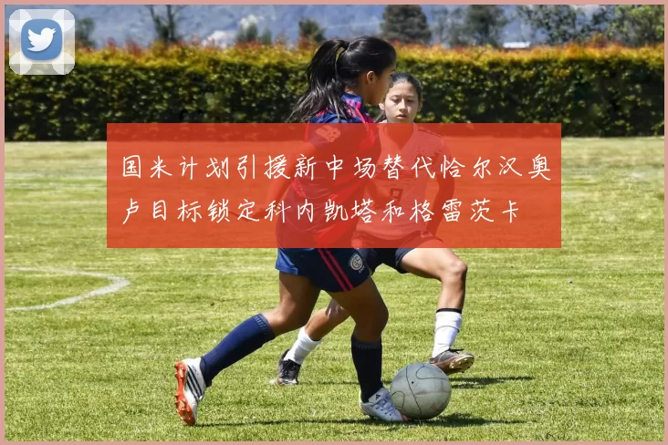 国米计划引援新中场替代恰尔汉奥卢目标锁定科内凯塔和格雷茨卡